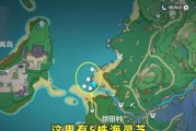 阴阳师春时觅宝活动怎么玩？最全路线通关图指南是什么？