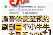 《收纳物语》洗刷刷通关攻略（一步步教你如何通关）