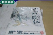 《蜀山战纪之剑侠传奇》游戏战力提升攻略（玩转《蜀山战纪之剑侠传奇》）