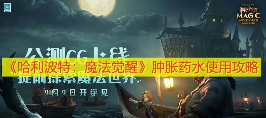 《哈利波特魔法觉醒金色闪光打法攻略》（打造最强金色魔法阵）